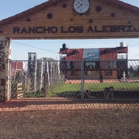 Rancho Los Alebrijes Сакатлан Экстерьер фото